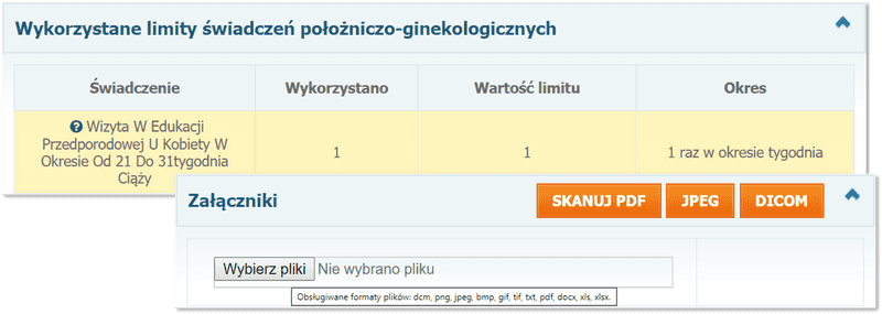 Sekcje: Wykorzystane limity świadczeń położniczo-ginekologicznych oraz Załączniki